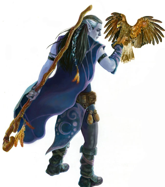 File:Druid PHB5e.png